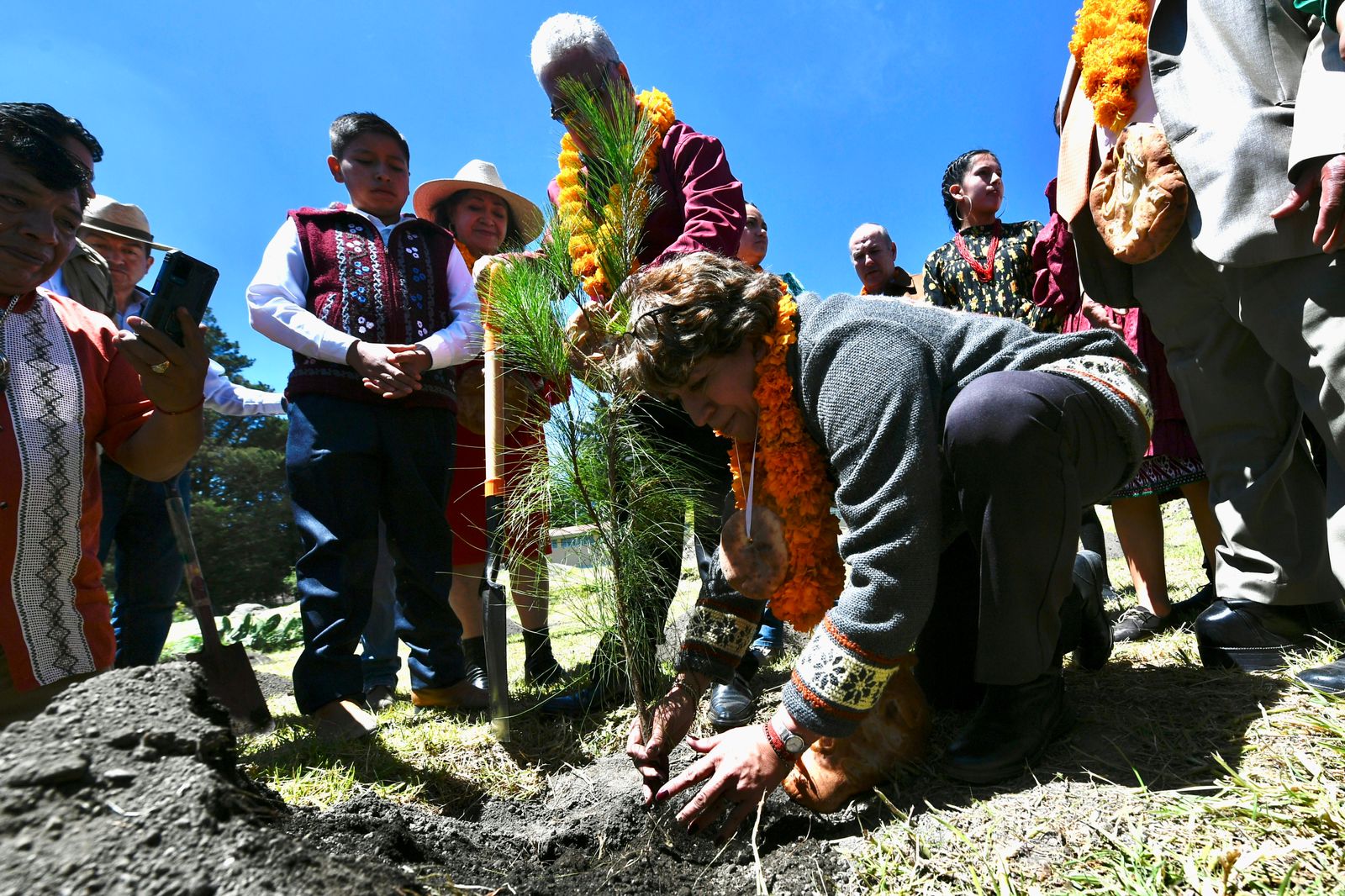 Lanza Gobernadora Delfina G Mez Gran Programa De Reforestaci N En El